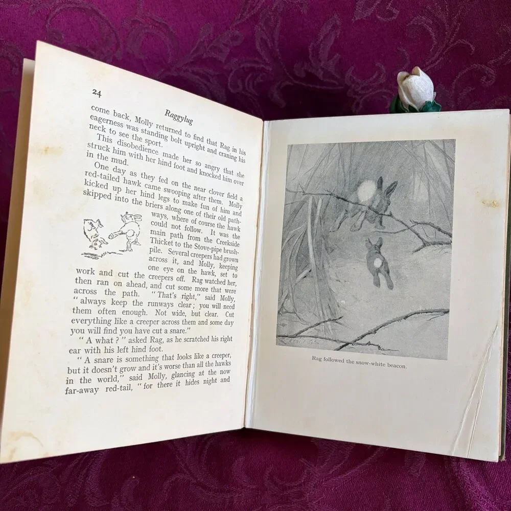 Ca 1925 Raggylug and Other Stories from Wild Animals I Have Known by E. T. Seton